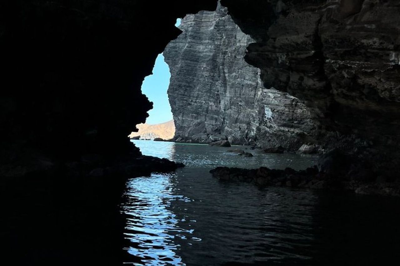 Tour tutto compreso dell'isola Espíritu Santo e Balandra — 8