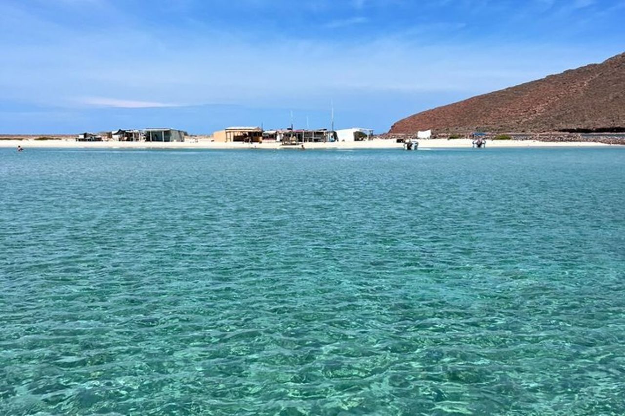 Tour tutto compreso dell'isola Espíritu Santo e Balandra — 9
