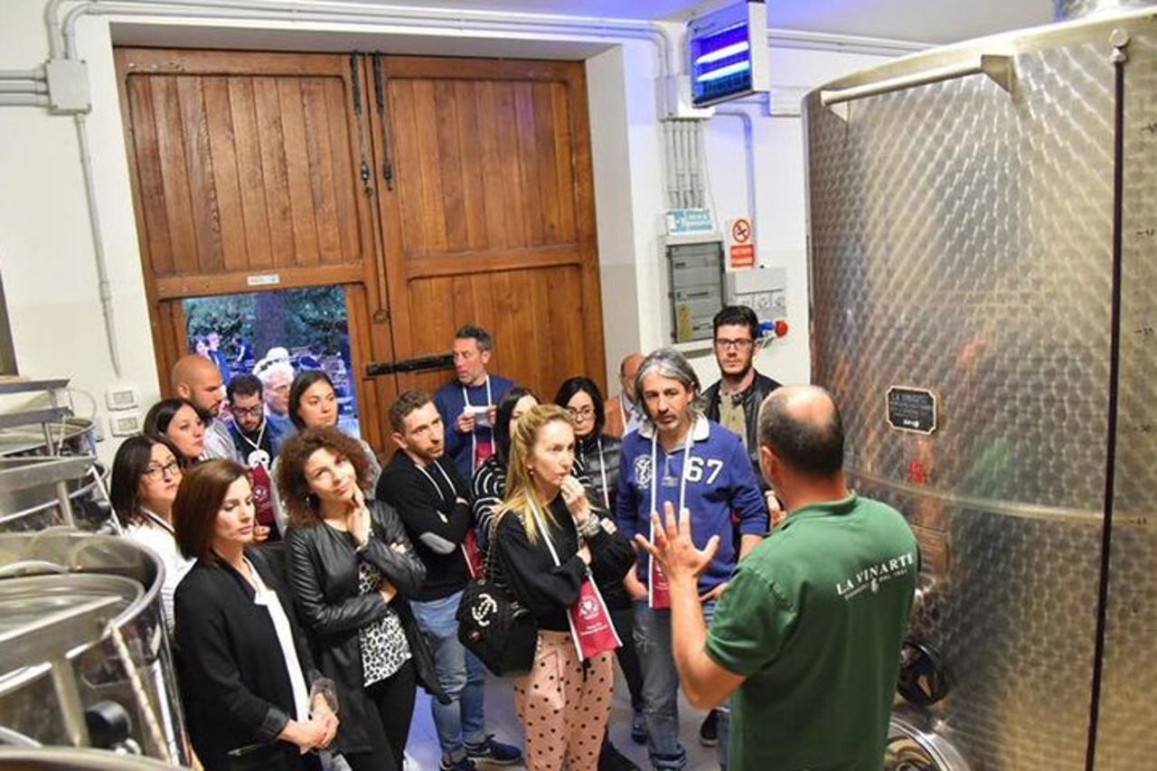 Degustazione Vini e Visita Guidata in Vigna e Cantina a S. Maria Imbaro — 7