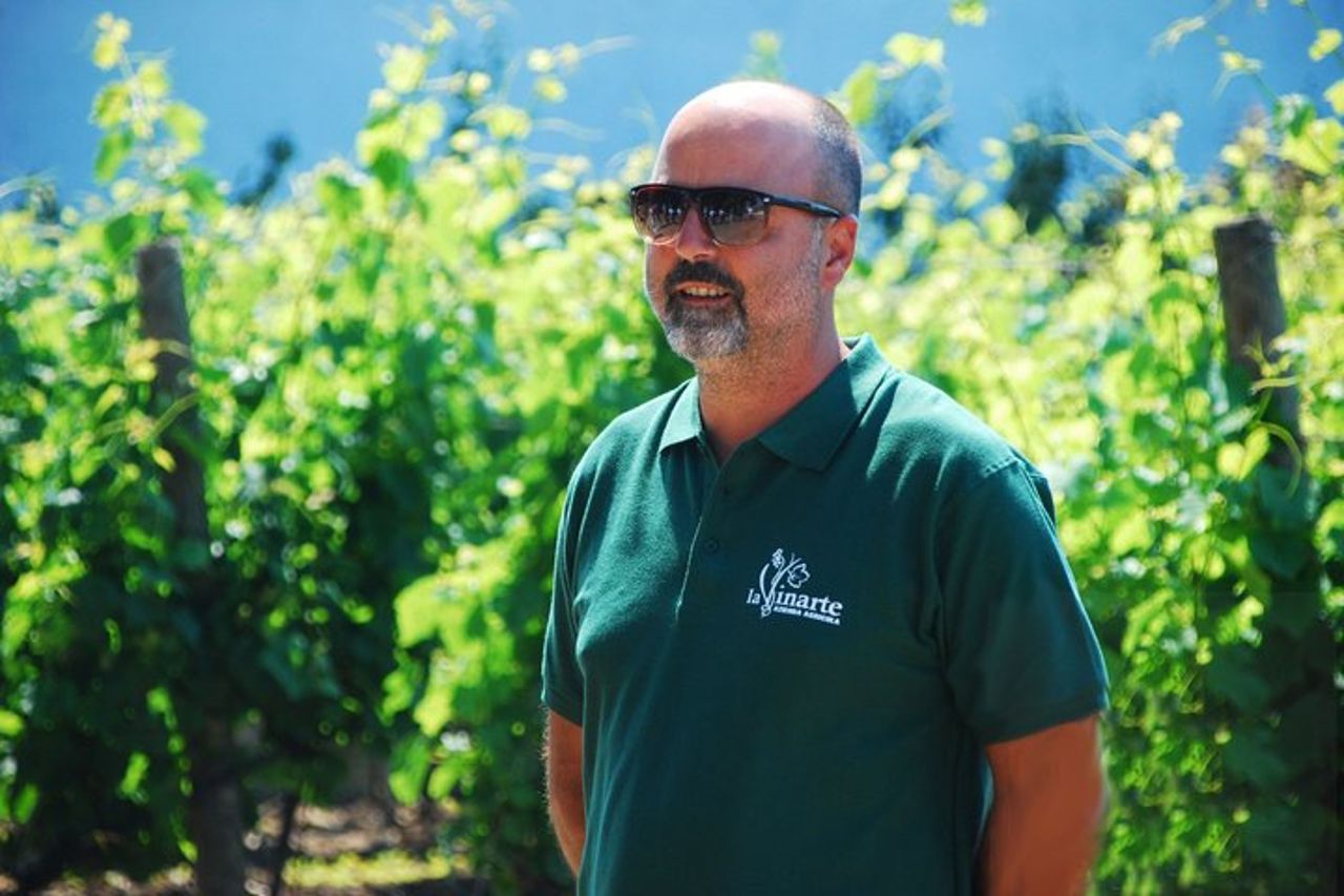 Degustazione Vini e Visita Guidata in Vigna e Cantina a S. Maria Imbaro — 4