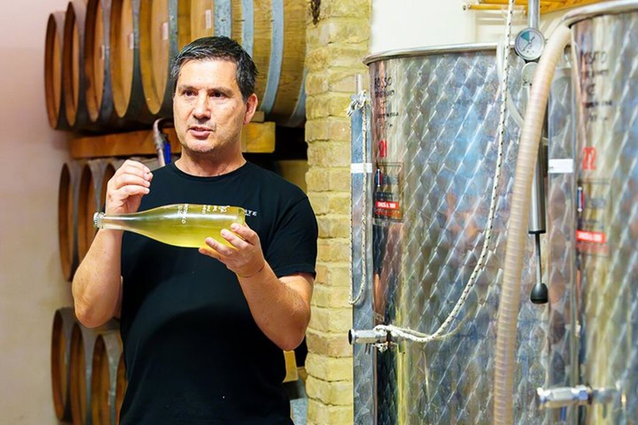 Degustazione Vini e Visita Guidata in Vigna e Cantina a S. Maria Imbaro — 9