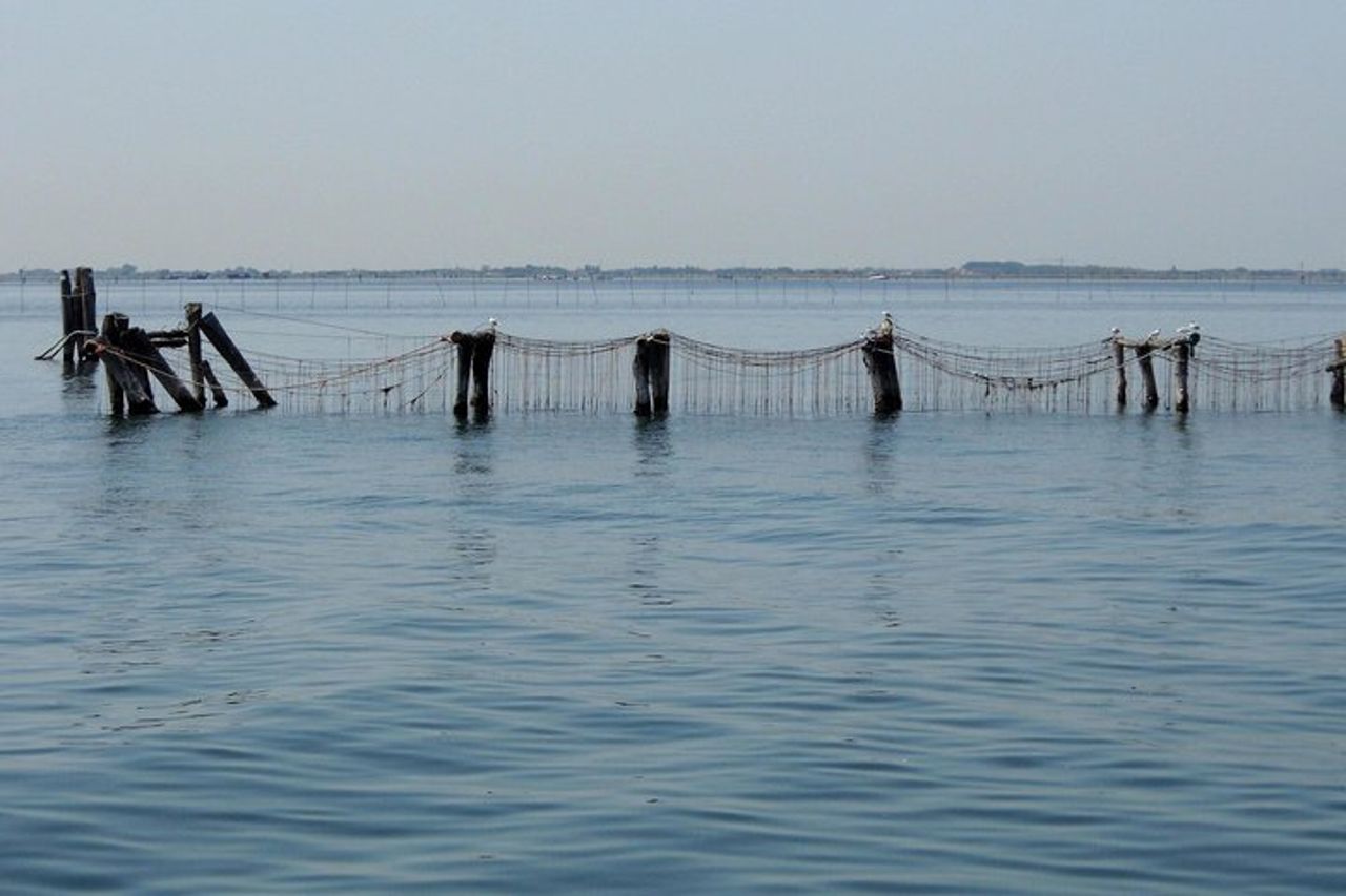 Visita a Chioggia, la piccola Venezia — 9