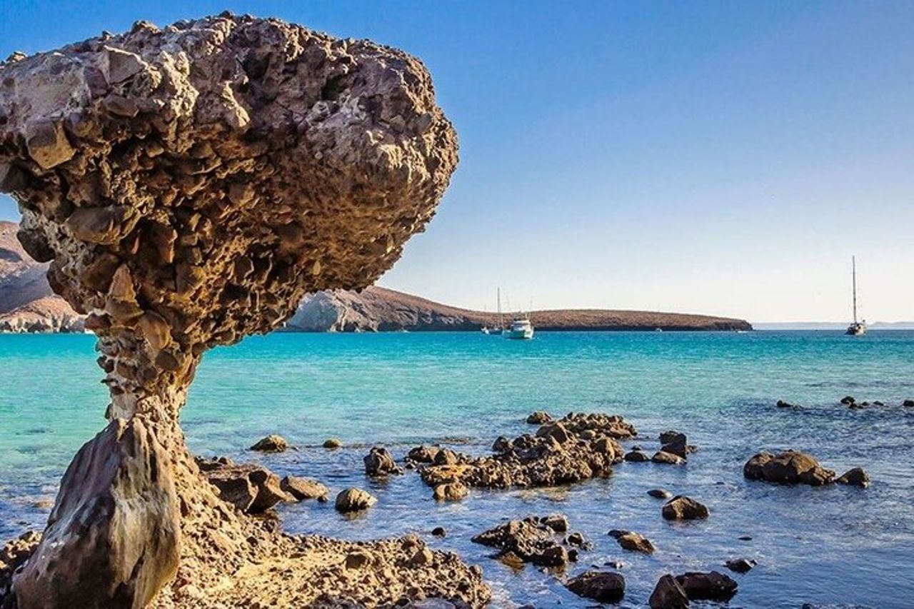 Tour tutto compreso dell'isola Espíritu Santo e Balandra — 5
