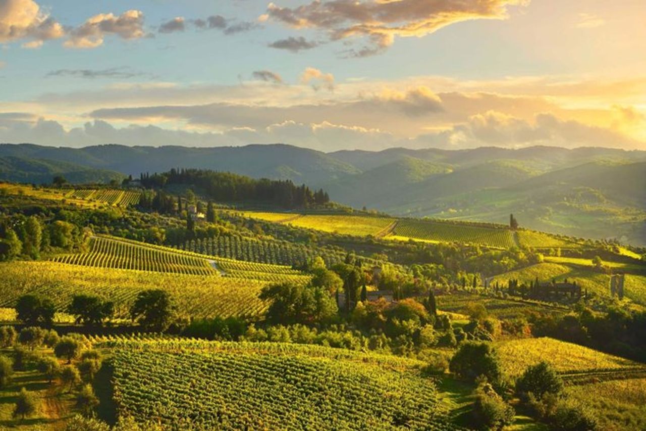 Chianti Day Fuga da Firenze in Fiat 500 d'epoca — 4