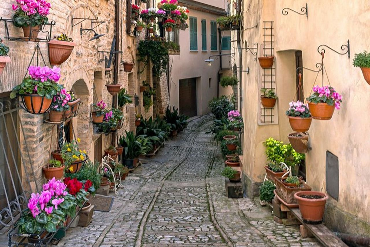 Tour privato a Orvieto e Civita di Bagnoregio — 6