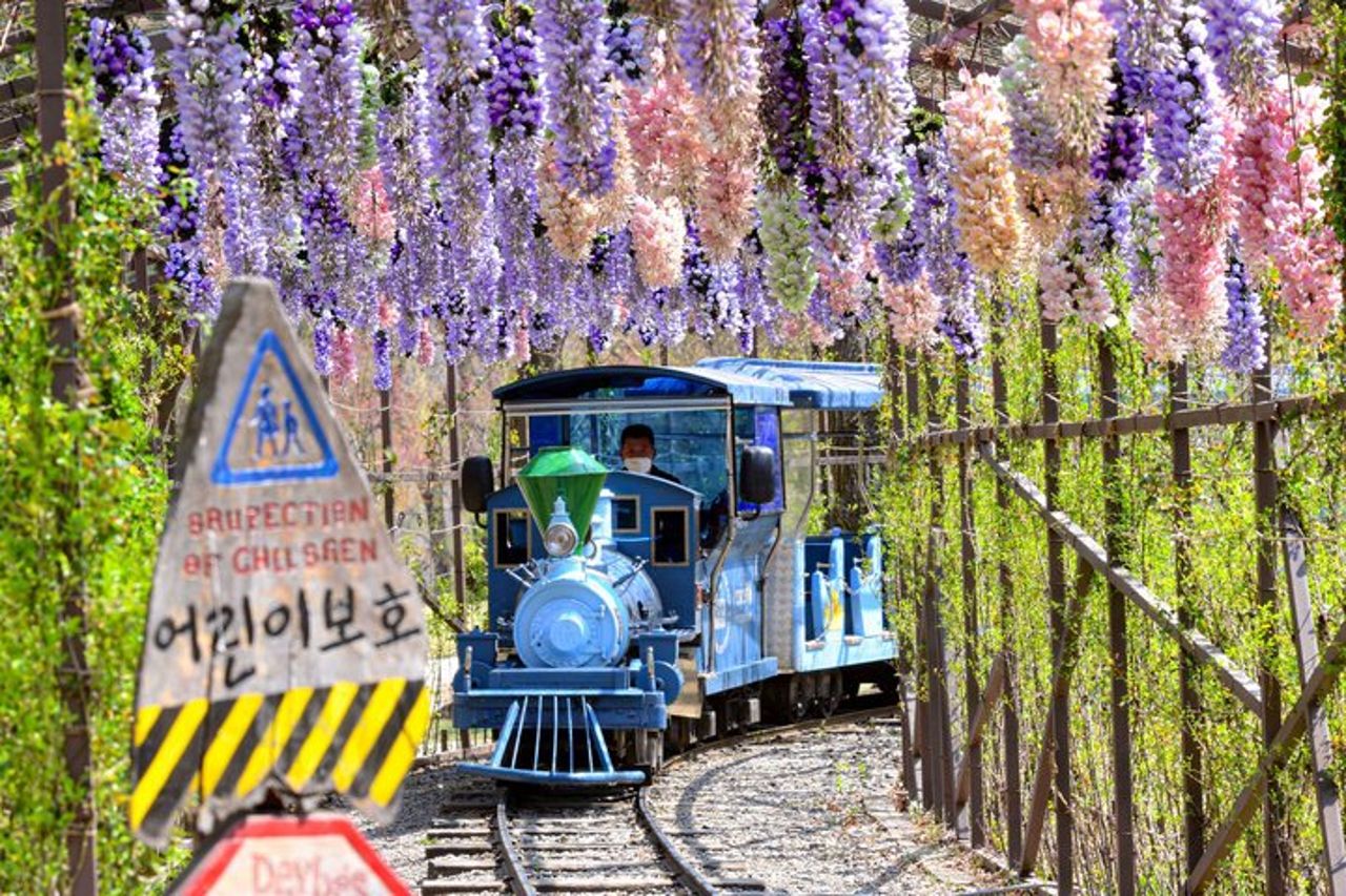 Gita di un giorno a Nami Island con Gangchon Rail Bike da Seul — 4