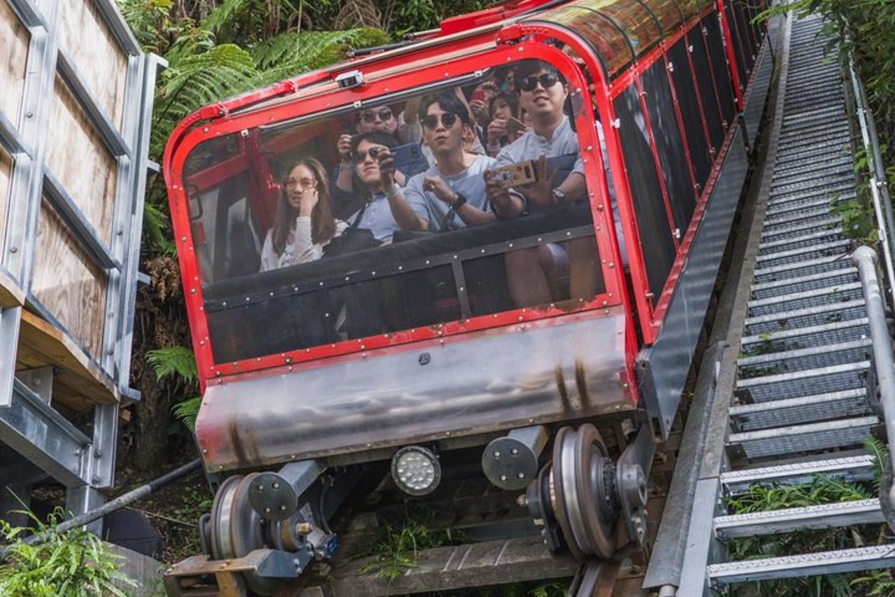 Blue Mountains, Zoo di Sydney, Mondo panoramico da Sydney