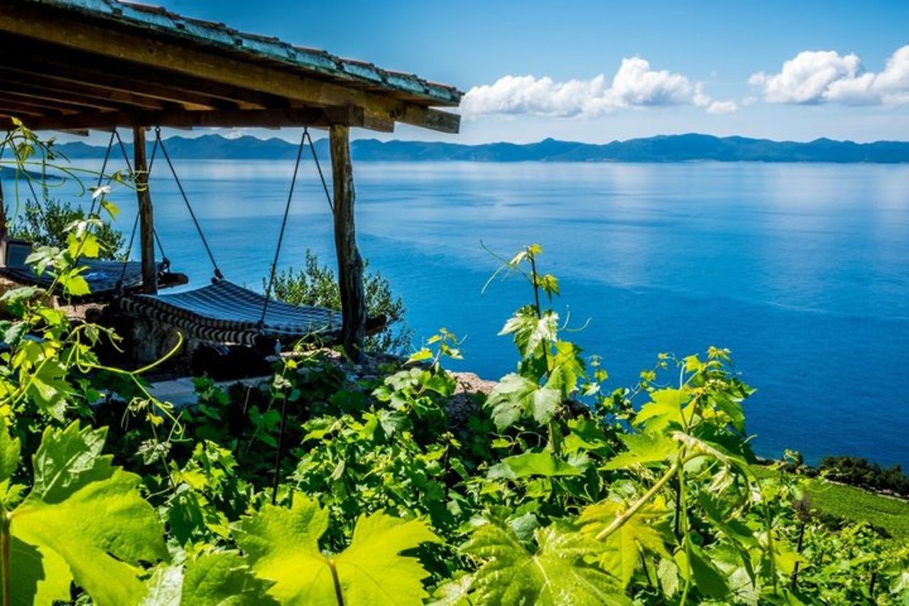 Dubrovnik Vino biologico e pranzo Cena Esperienza — 9