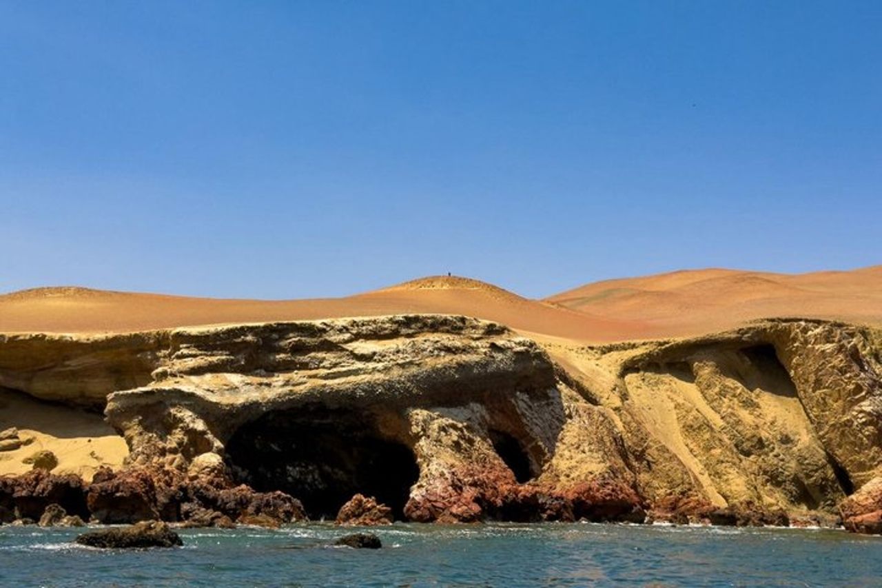 Tra isole, dune e vigneti: una giornata a Paracas, Ica, TUTTO COMPRESO — 7