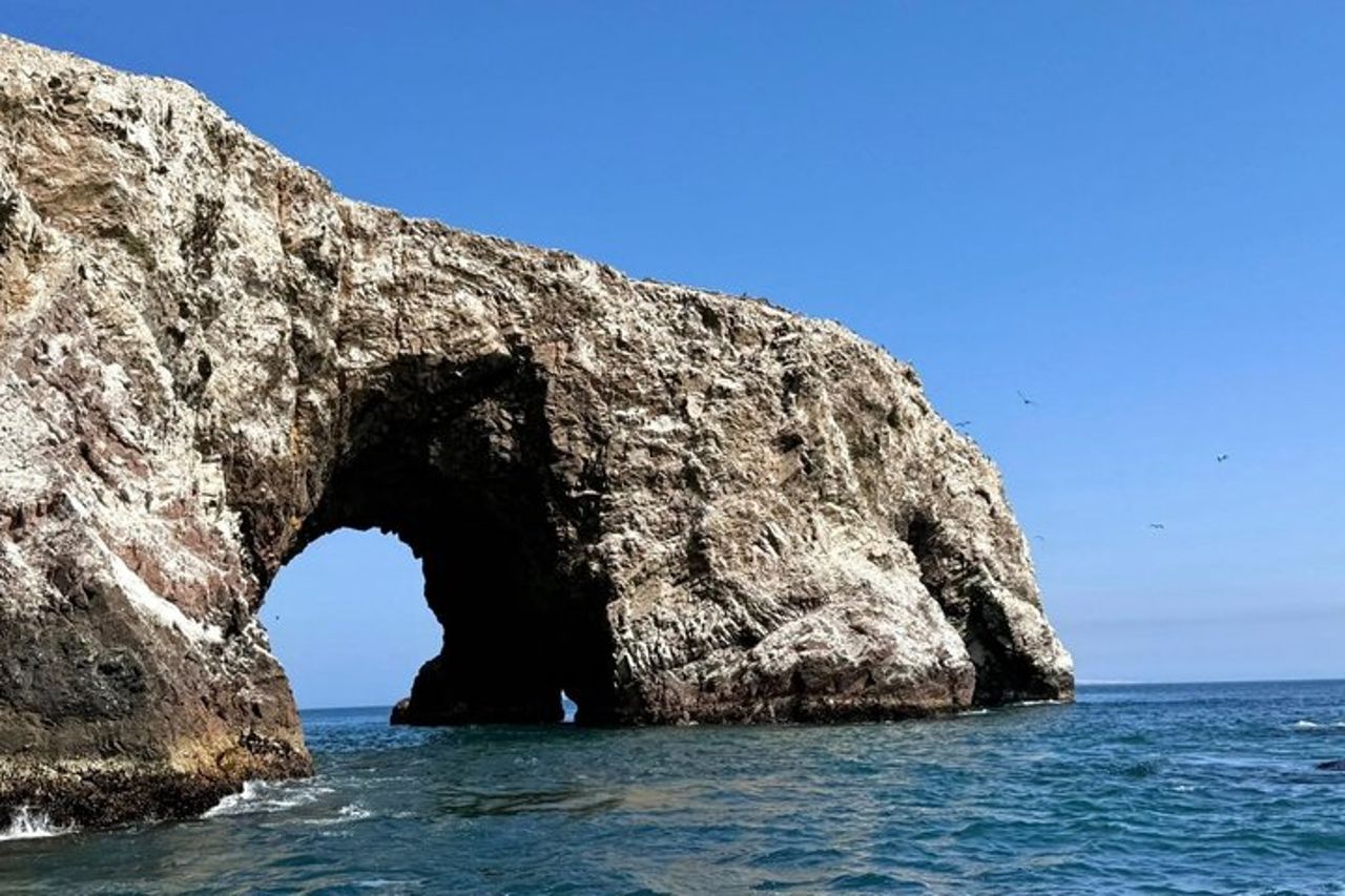 Tra isole, dune e vigneti: una giornata a Paracas, Ica, TUTTO COMPRESO — 9