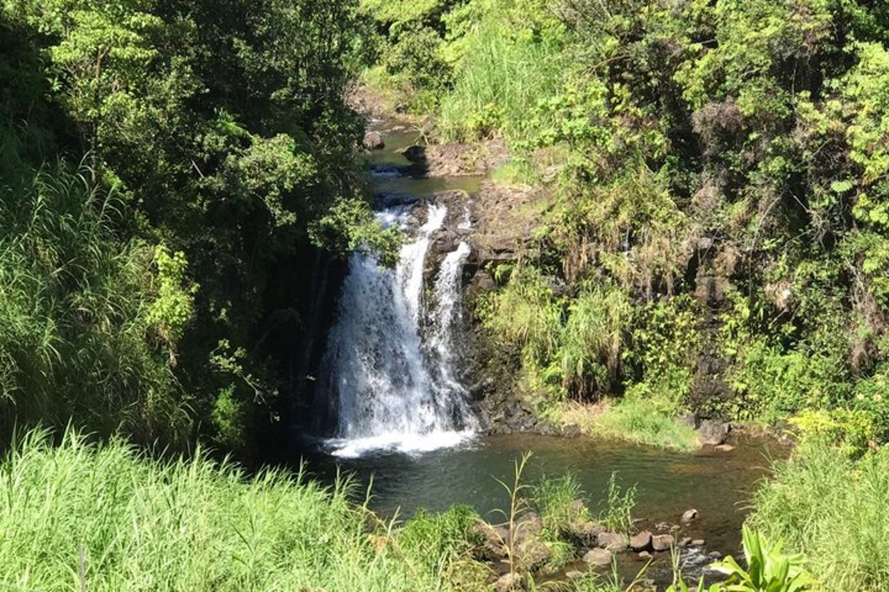 Vulcano, cioccolato e cascate della Grande Isola — 9