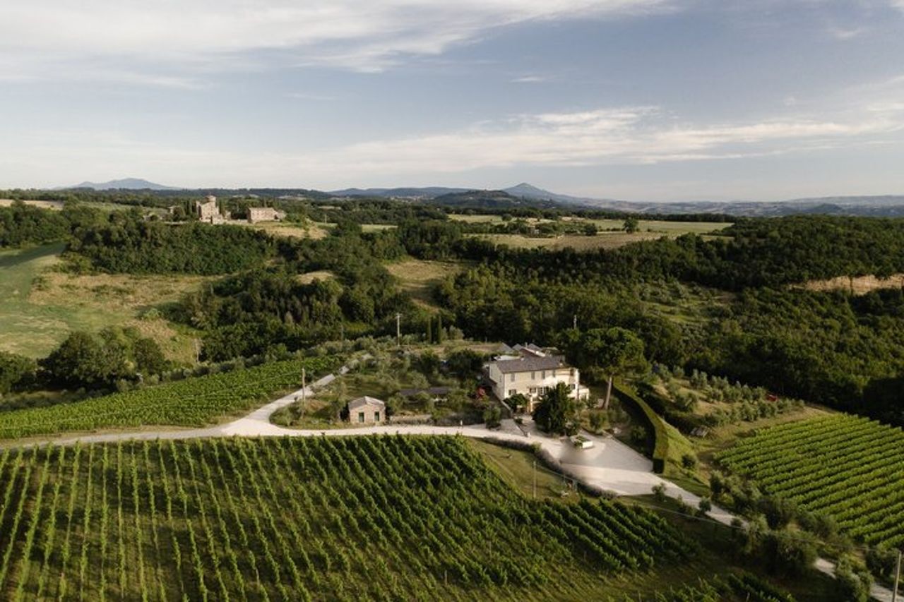 Picnic in vigna in una cantina familiare vicino Orvieto — 2