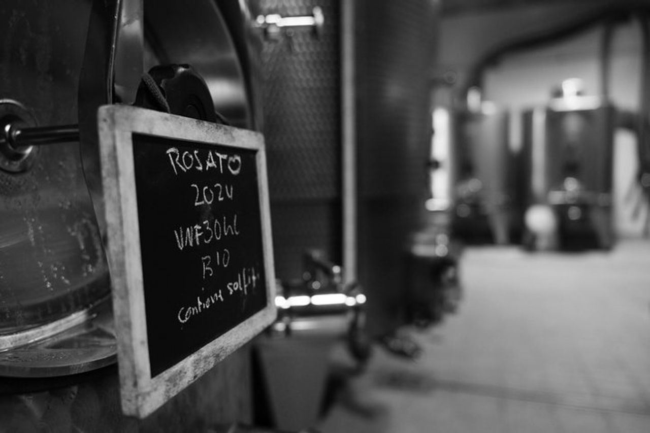 Picnic in vigna in una cantina familiare vicino Orvieto — 9