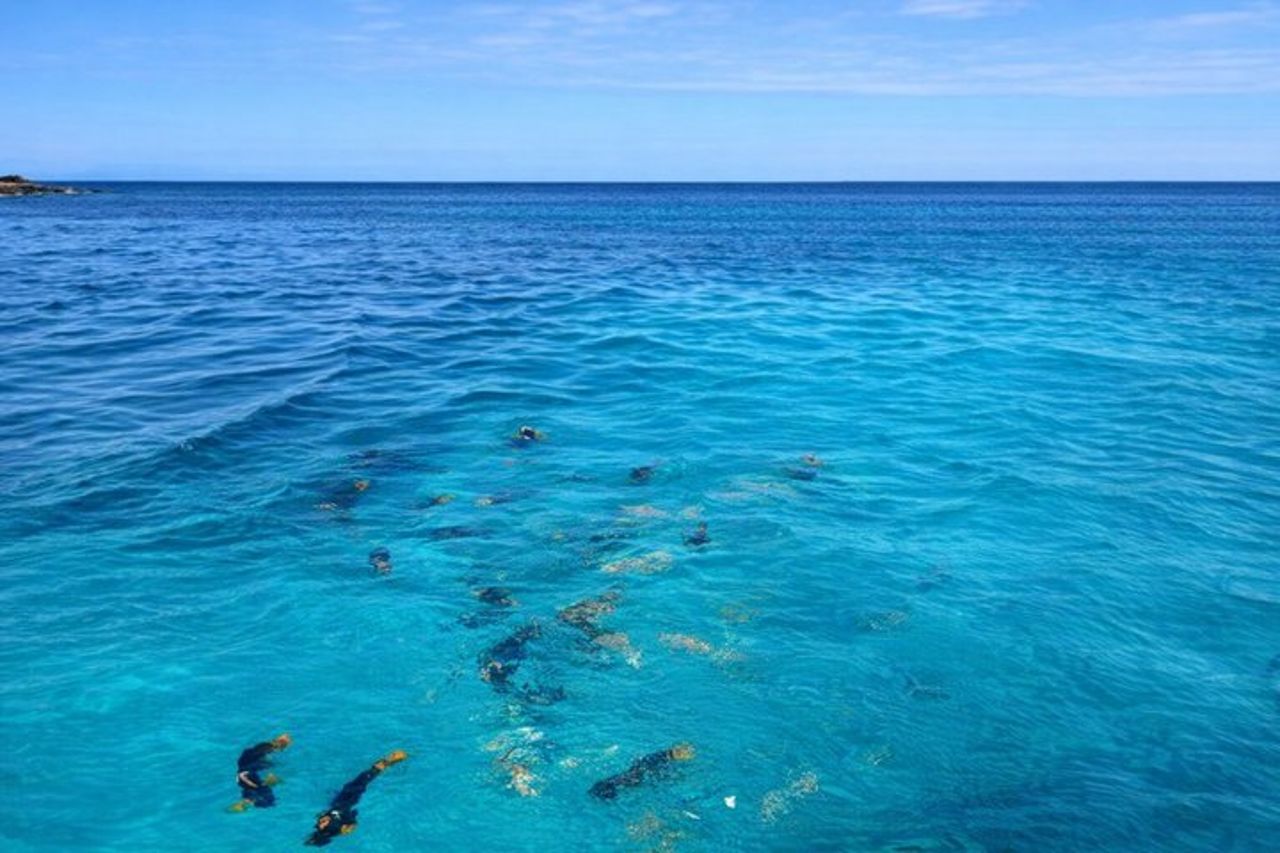 Gita di un giorno con snorkeling all'Isola di Pinzon e La Fe — 9