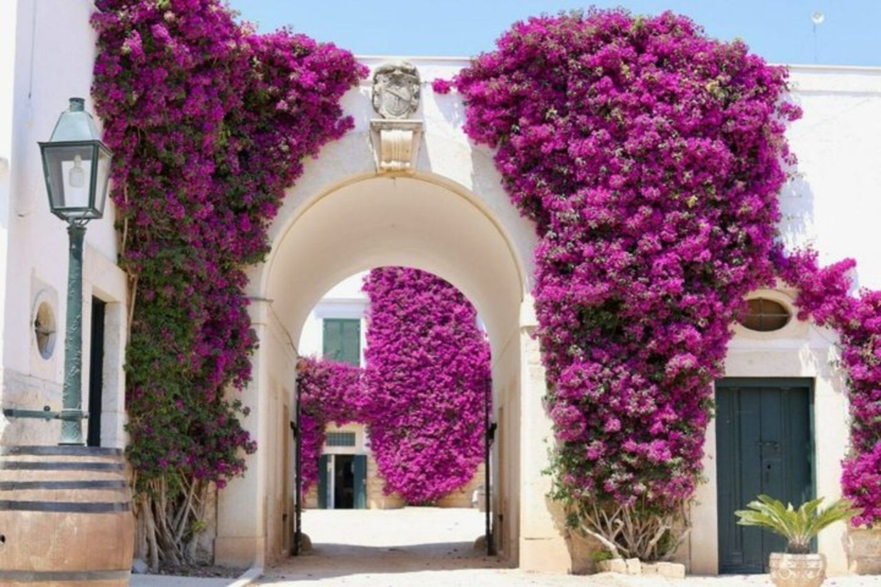 Tour privato di Trani & Winery Experience da Bari o Matera — 5