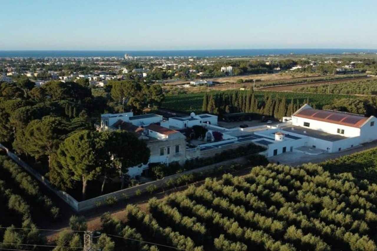 Tour privato di Trani & Winery Experience da Bari o Matera — 9