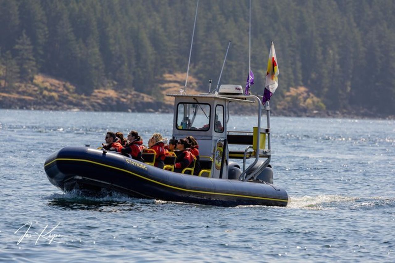 Campbell River, BC: Tour di osservazione delle balene di 6 ore con pranzo incluso