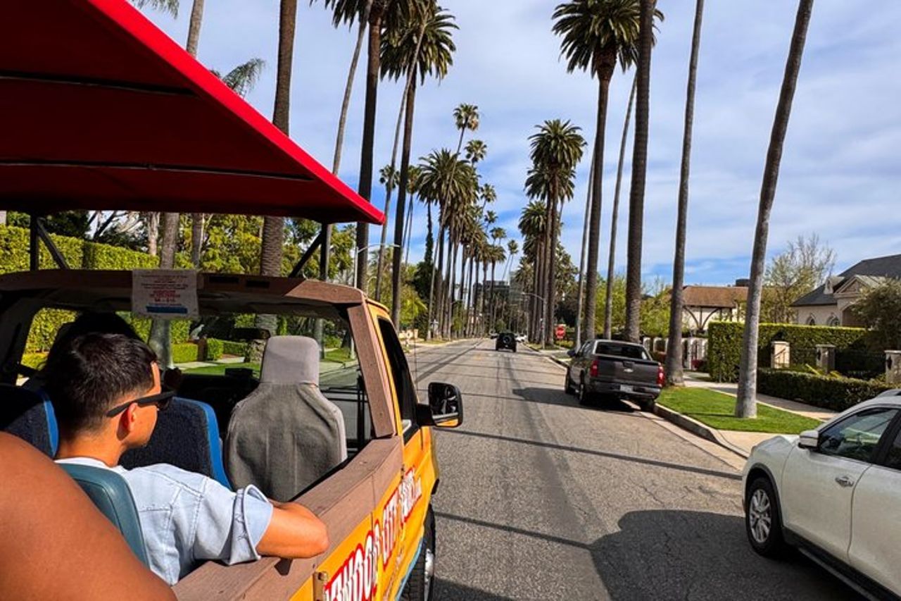 Tour in autobus di Hollywood e delle case delle celebrità — 3