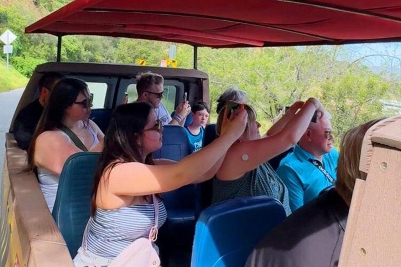 Tour in autobus di Hollywood e delle case delle celebrità — 4