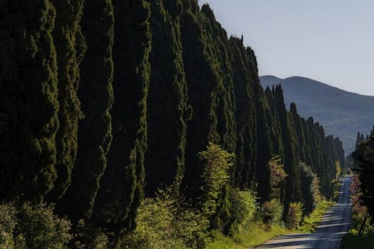 Firenze Private Day Trip Bolgheri Wine Experience e Volterra — 4