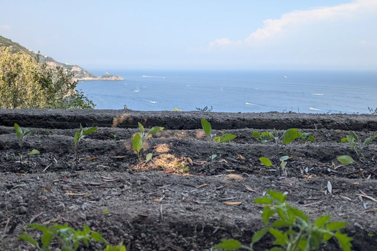 Authentic Cooking with Locals: Meal, Wine & Scenic Views — 8