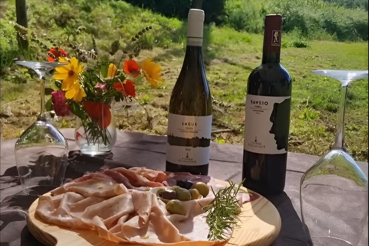 Ti accolgo nella mia vigna: degustazione privata — 2