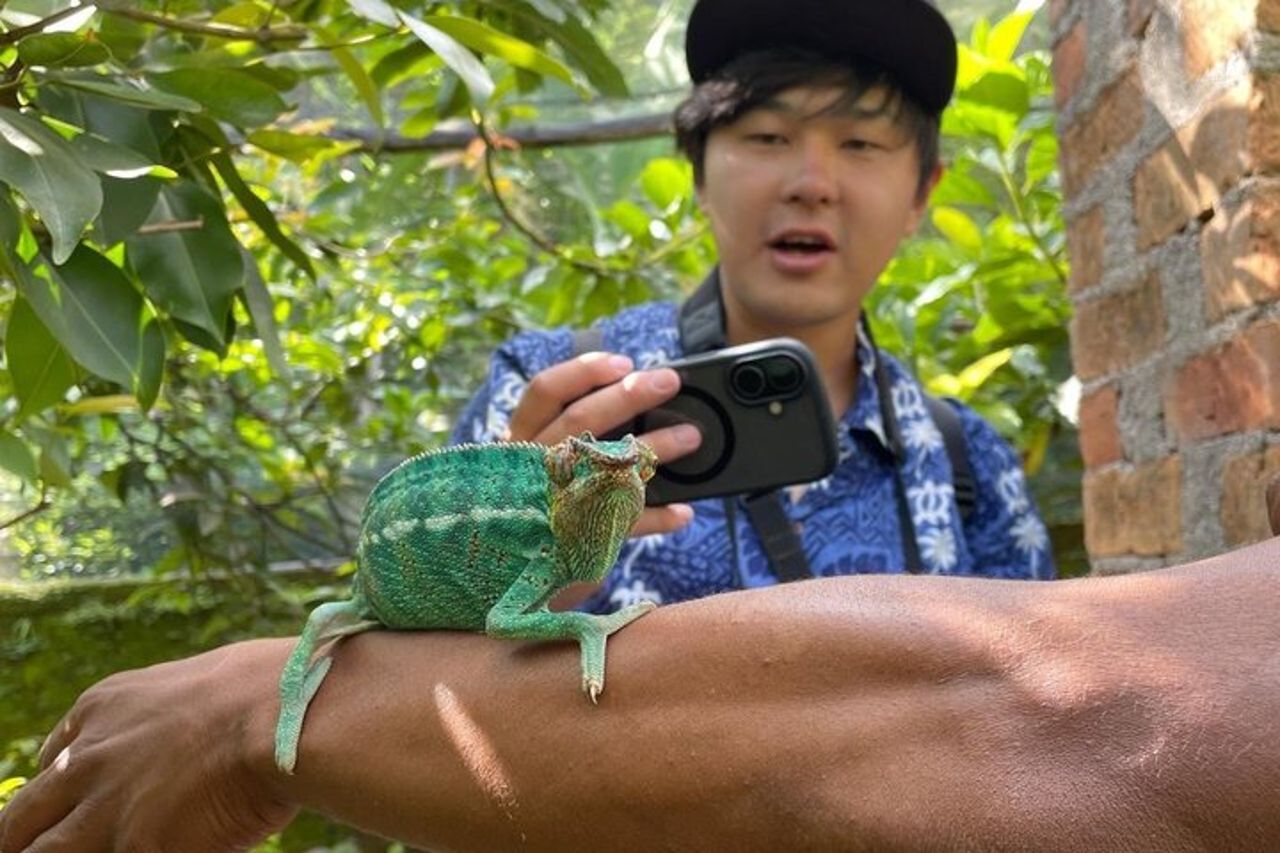 6 giorni Madagascar Alla scoperta della foresta pluviale a Lemuri e Baobab — 3