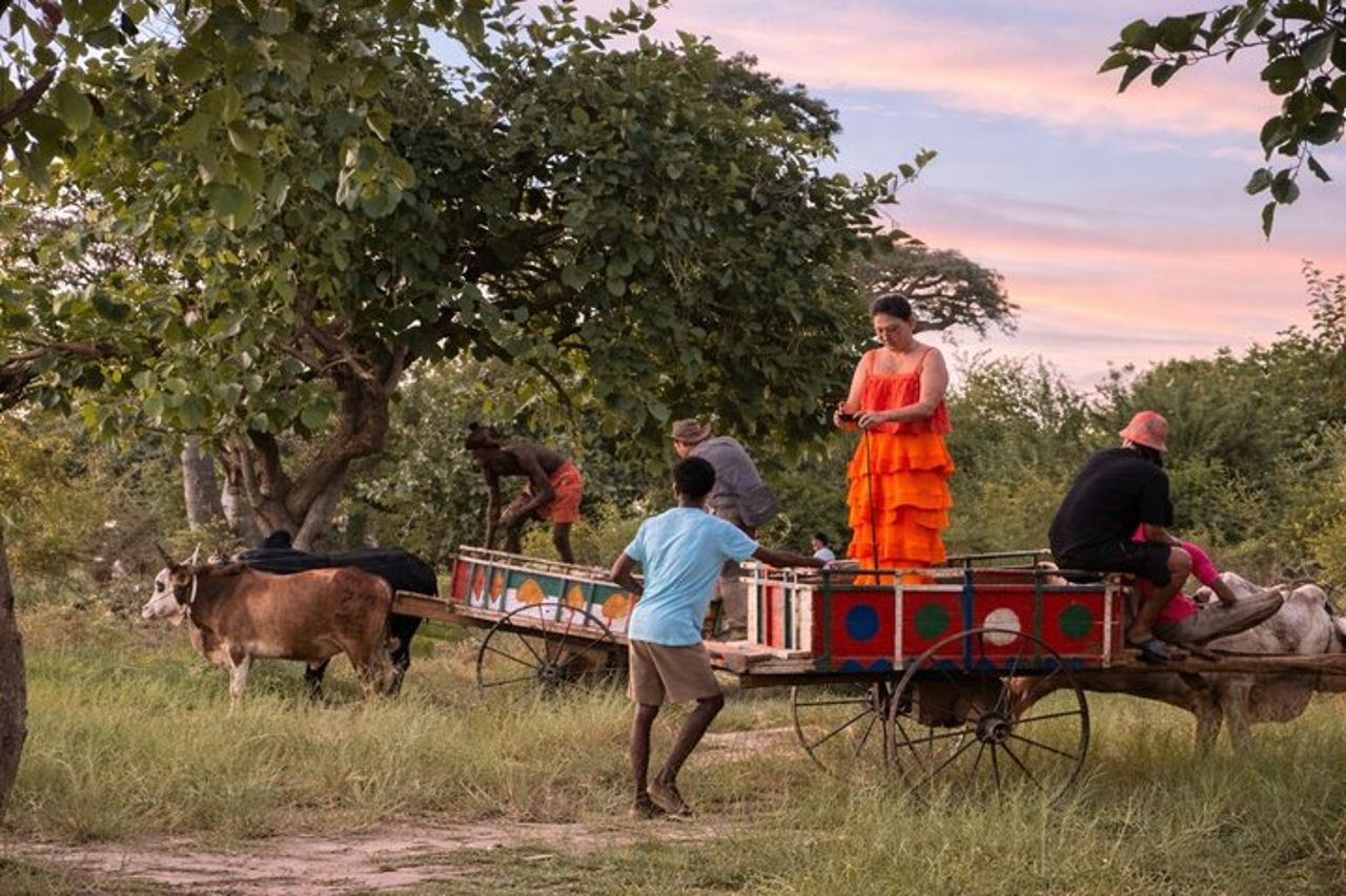 6 giorni Madagascar Alla scoperta della foresta pluviale a Lemuri e Baobab — 7