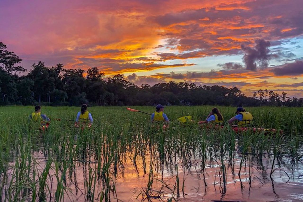 Avventura naturalistica guidata in kayak al tramonto — 2