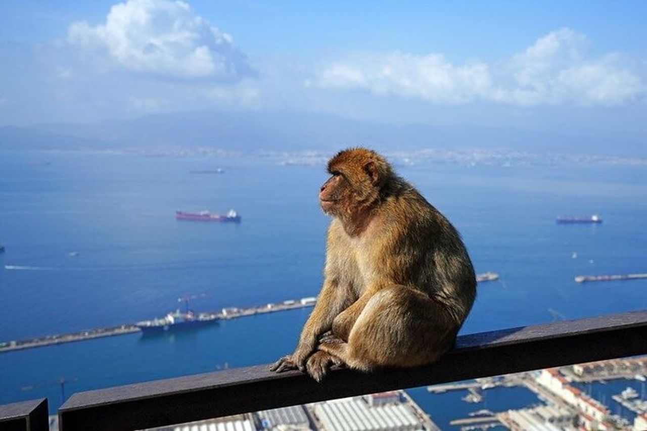 Dalla Costa del Sol : tour classico rock di Gibilterra — 2