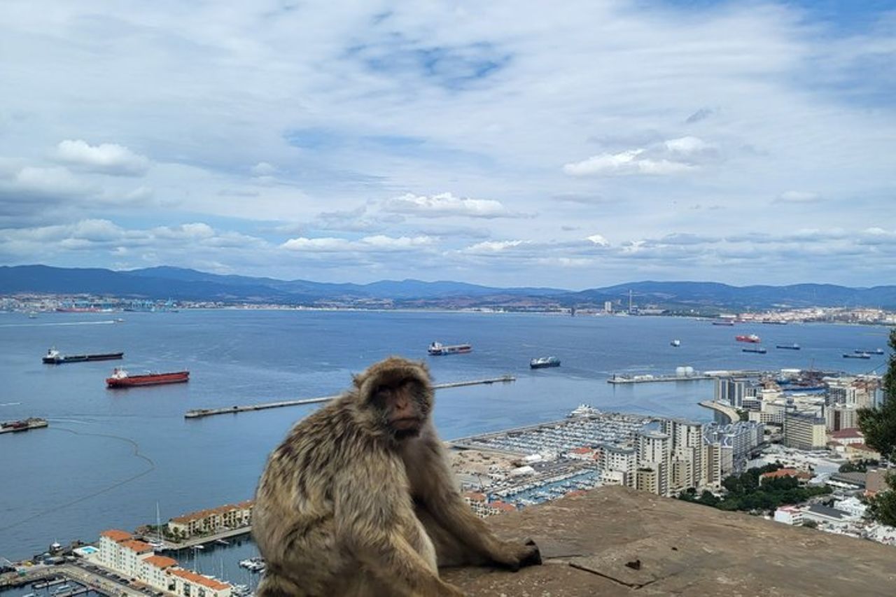 Dalla Costa del Sol : tour classico rock di Gibilterra — 6