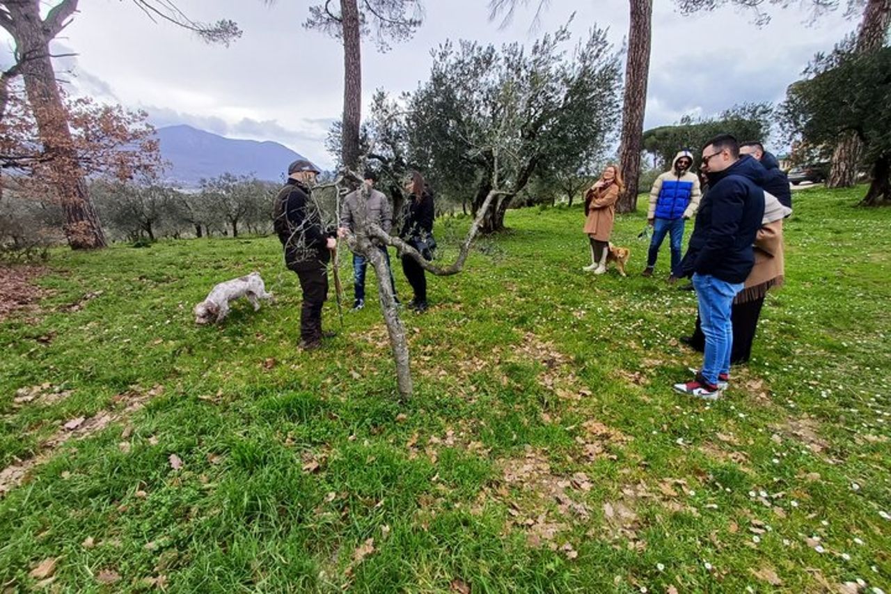 Tour privato della caccia al tartufo Pranzo degustazione 8 vini sommelier — 4