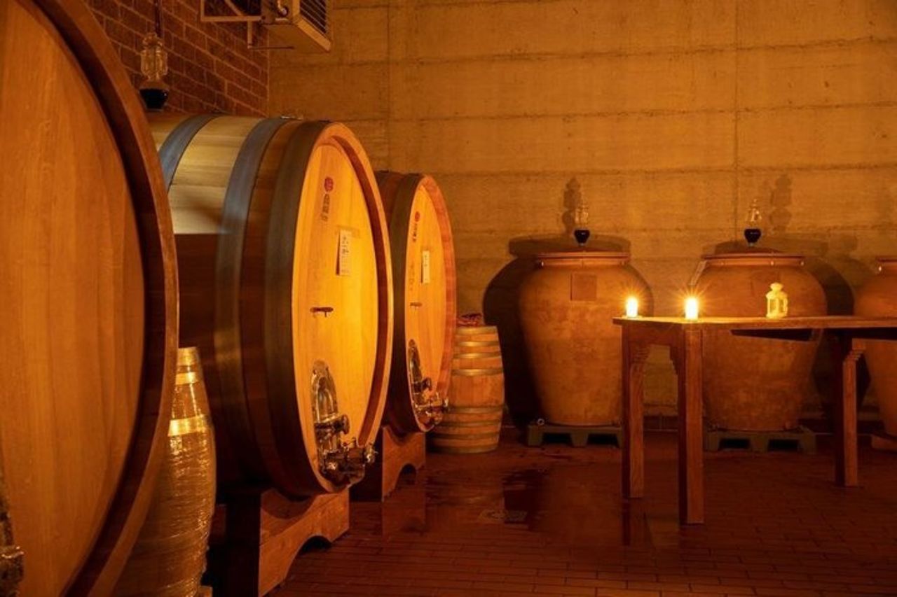 Tour privato della caccia al tartufo Pranzo degustazione 8 vini sommelier — 7