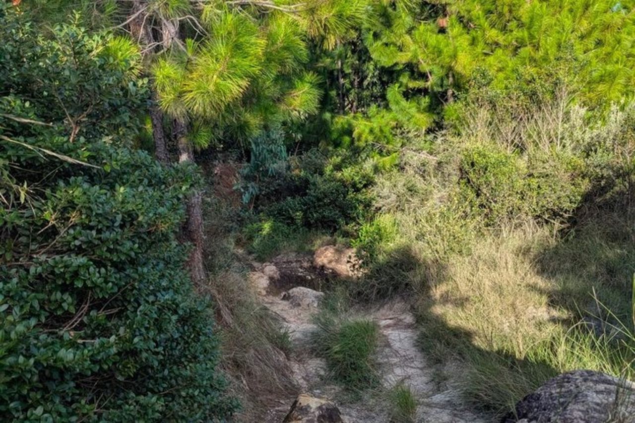Esperienza — 5