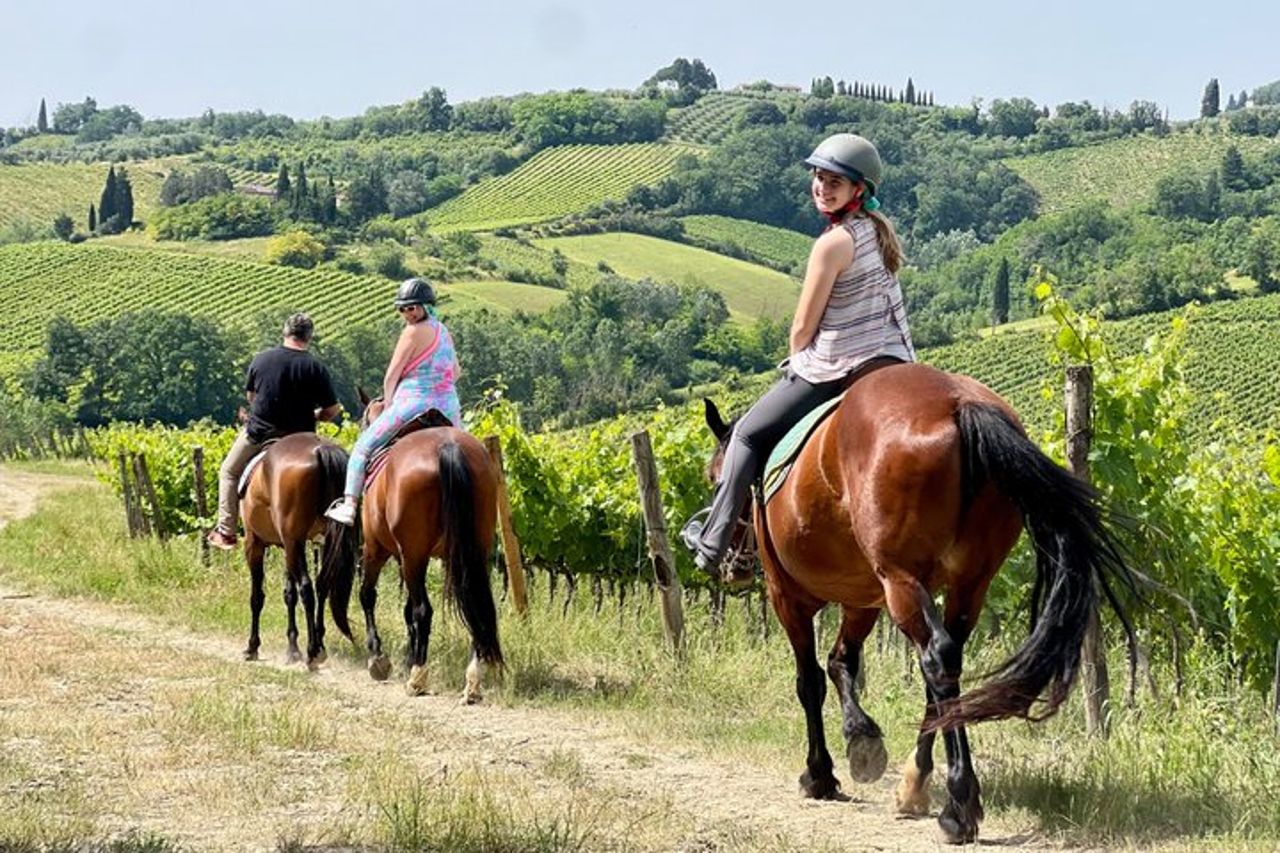 Tour del vino a cavallo per piccoli gruppi, San Gimignano, Pranzo — 2
