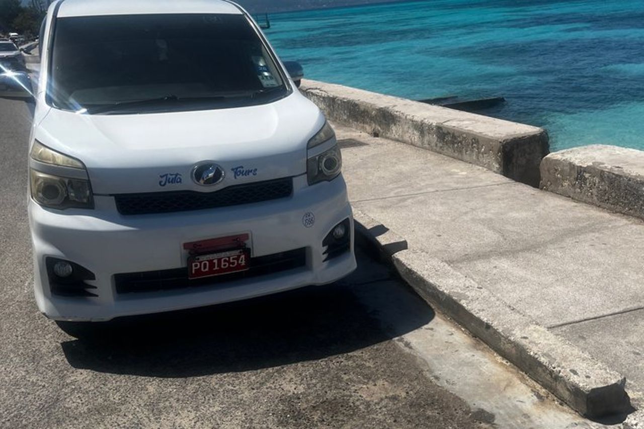Trasferimento dall'aeroporto di Montego Bay Giamaica agli hotel Negril o Princess — 2