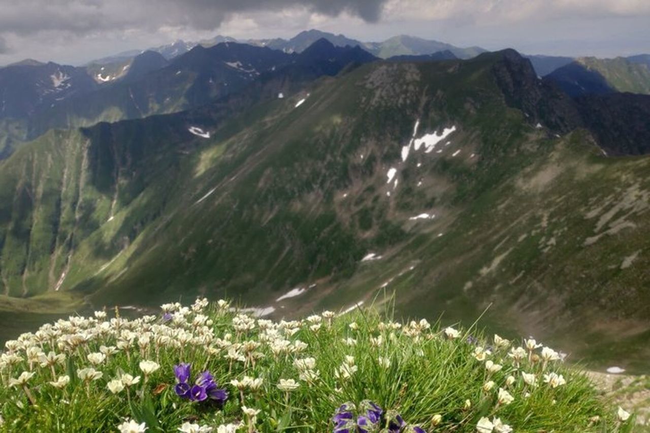 Escursione di un giorno PRIVATO - Montagna di Fagaras — 4