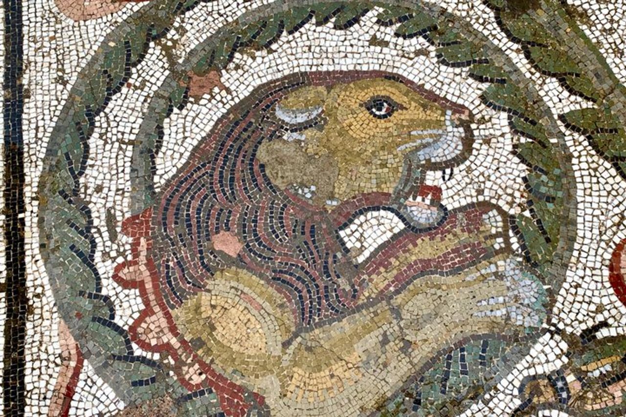 VILLA ROMANA (UNESCO) a PIAZZA ARMERINA Tour privato con Guida — 8