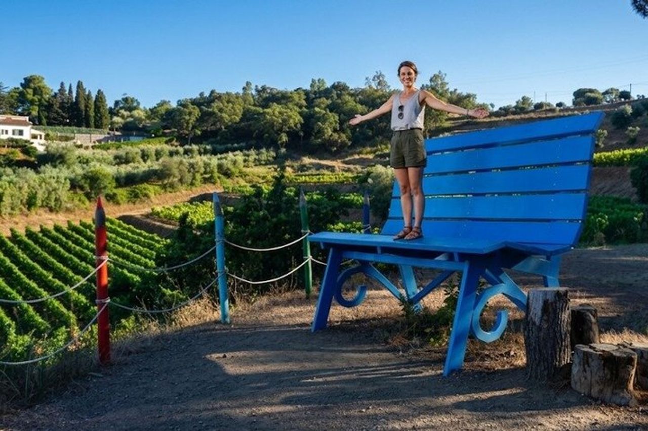 Autentica degustazione di vini dell'Elba con passeggiata in vigna e vista sul mare — 2
