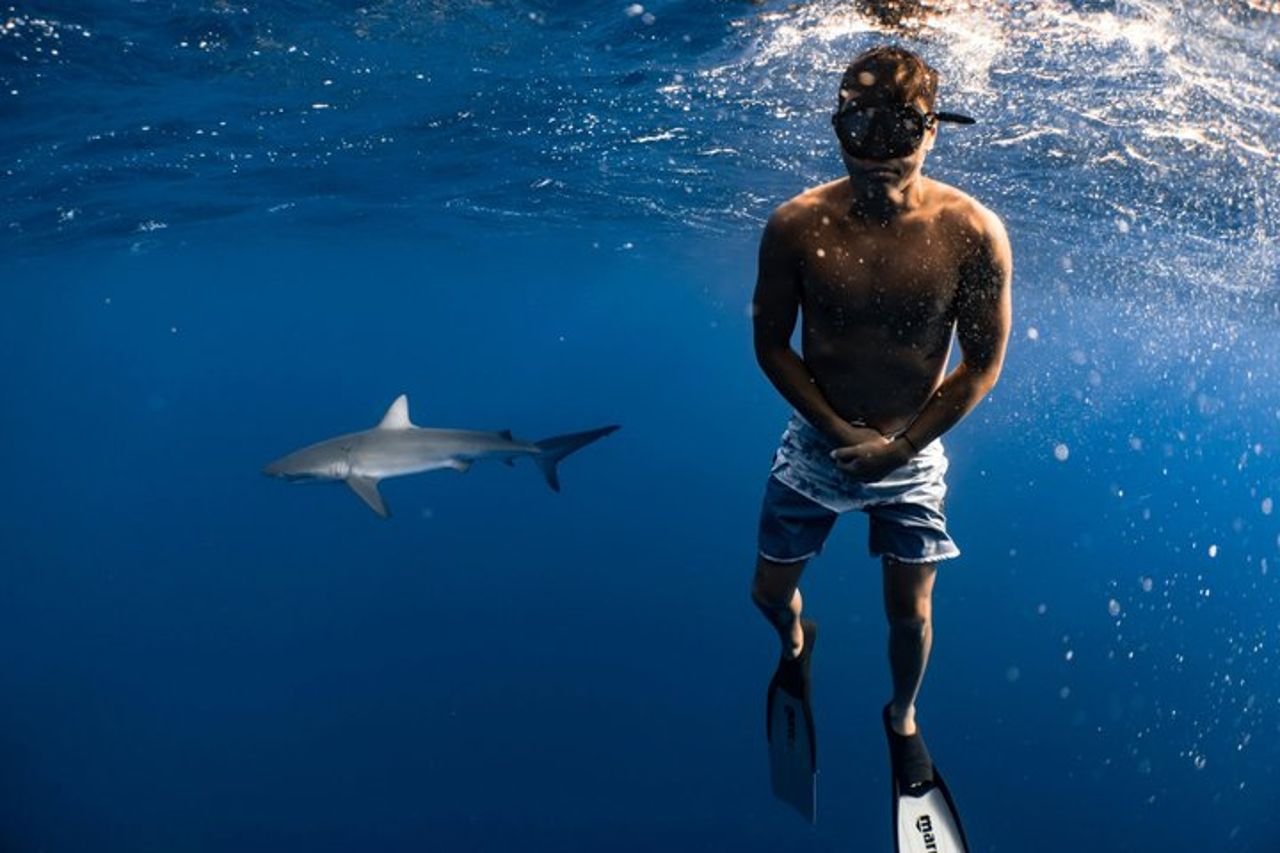 Maafushi Nurse Shark Snorkeling Tour