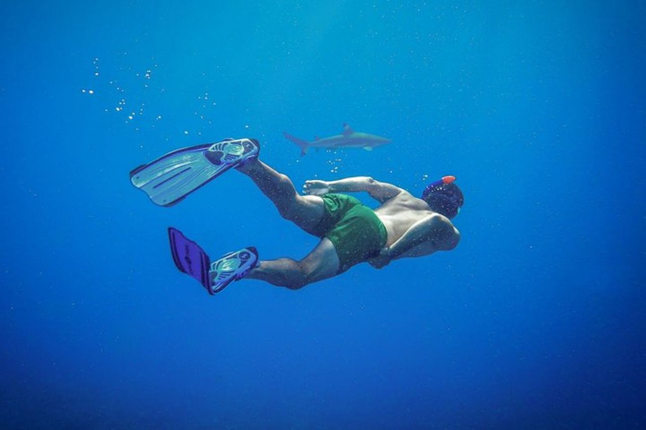 Maafushi Nurse Shark Snorkeling Tour — 3