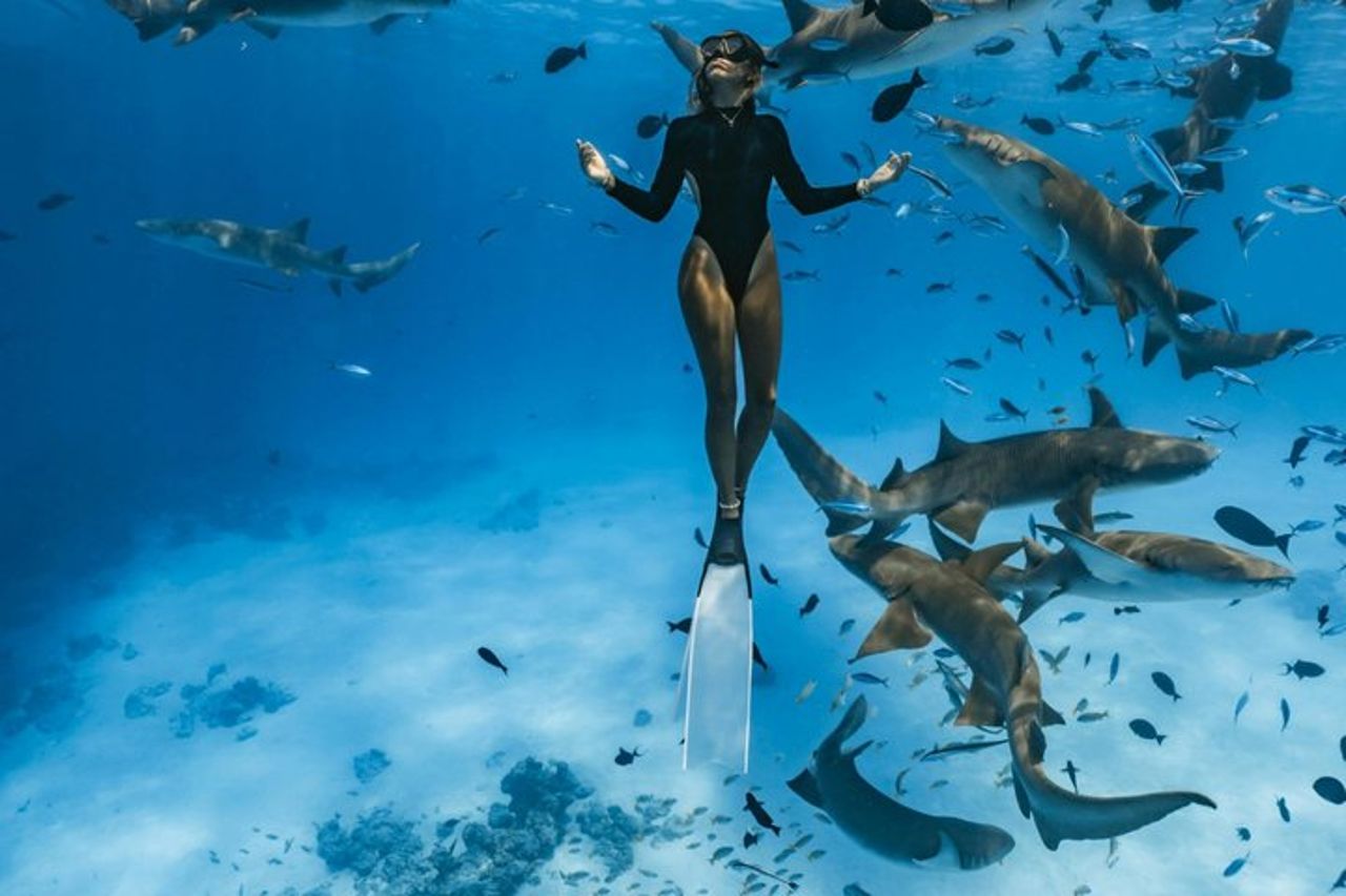 Maafushi Nurse Shark Snorkeling Tour — 4