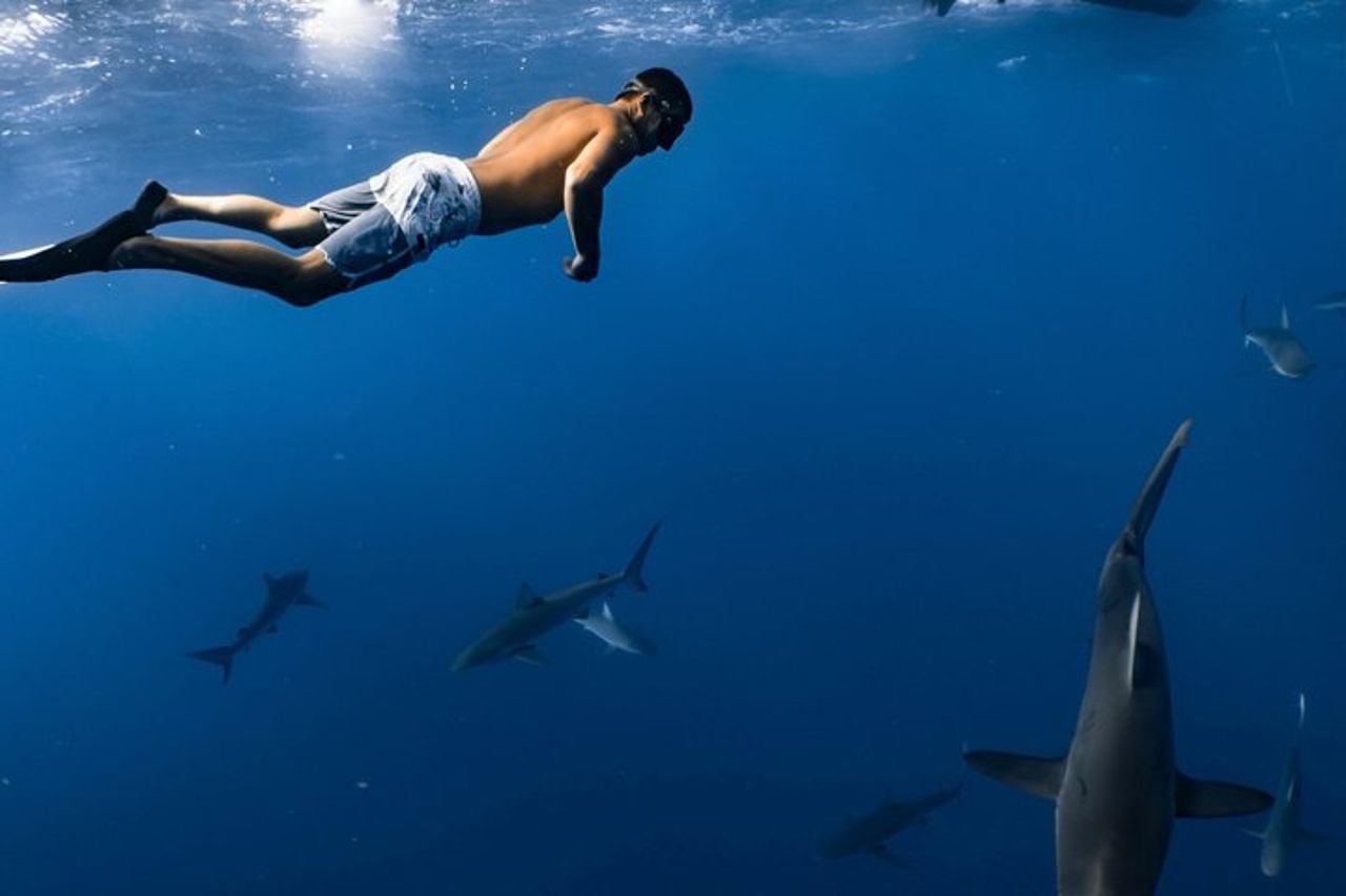 Maafushi Nurse Shark Snorkeling Tour — 8