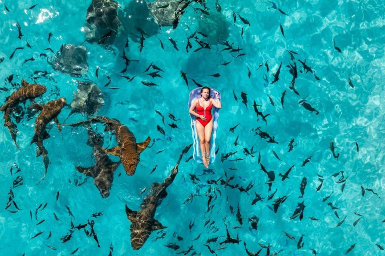 Maafushi Nurse Shark Snorkeling Tour — 5