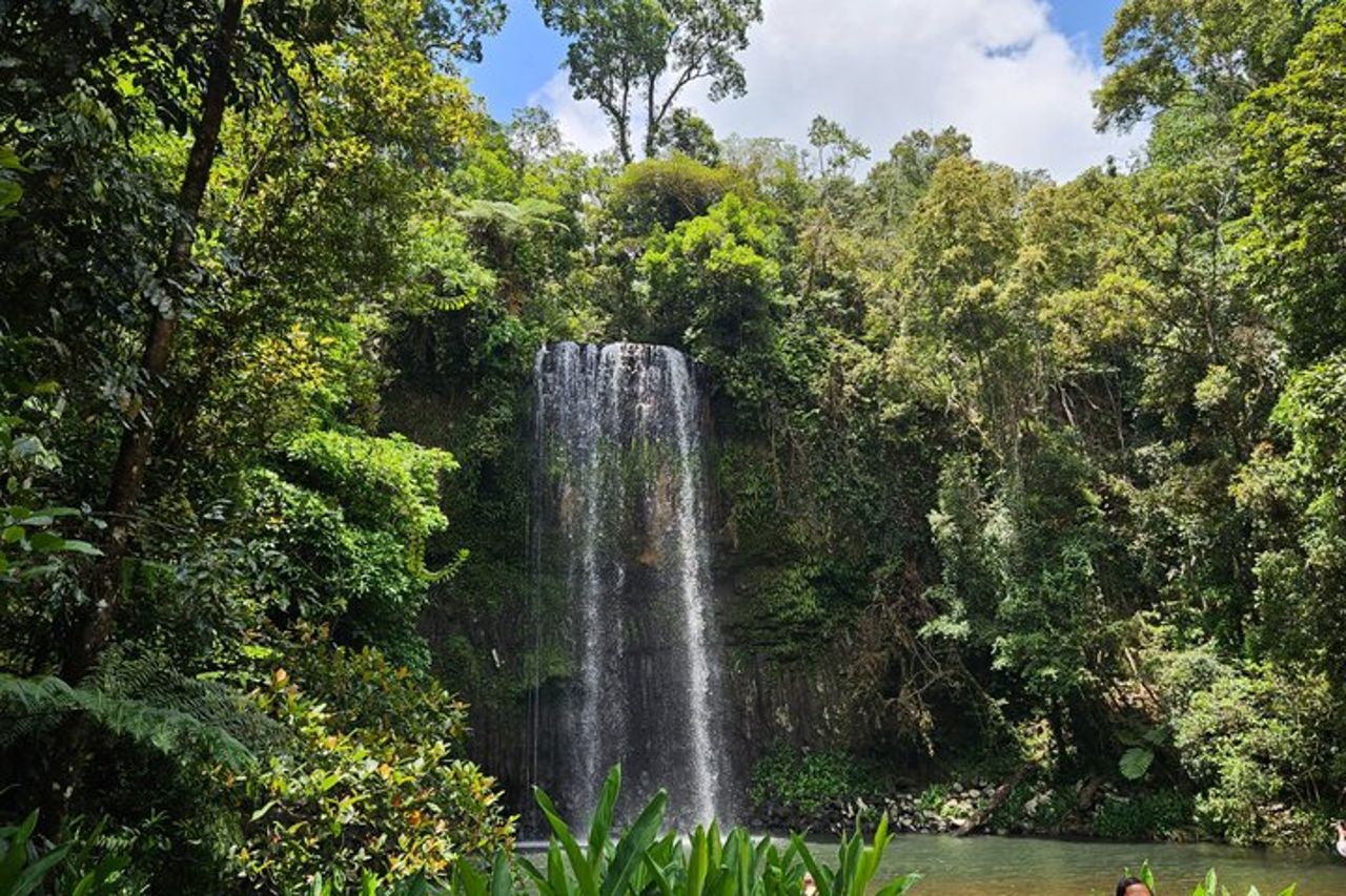 Tour di un giorno al Parco Paronella, al Lago Barrine e alle cascate Millaa Millaa — 4