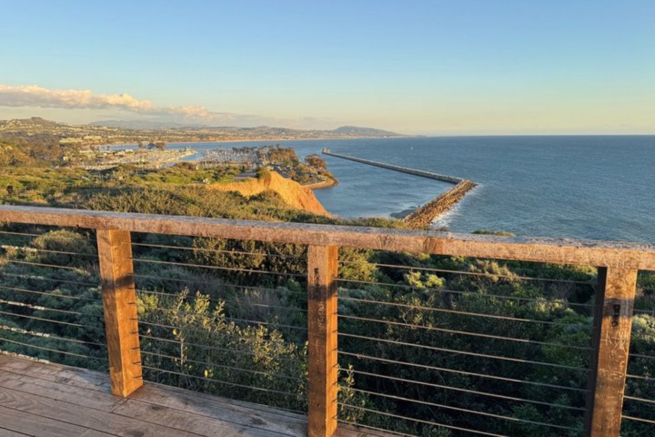 Escursione costiera guidata ed ecologia a Dana Point — 8