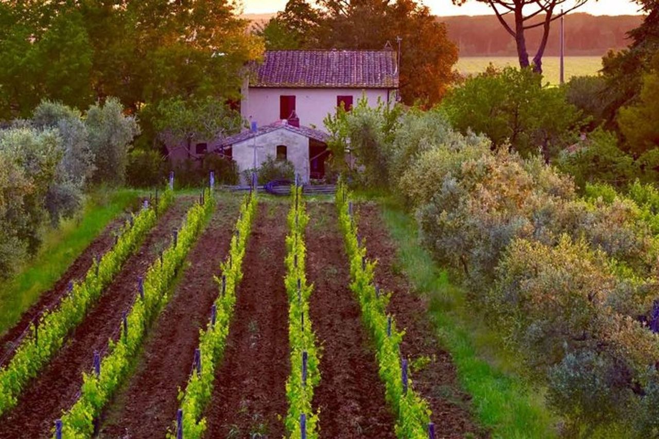 Corso di cucina e degustazione di vini in Toscana — 3
