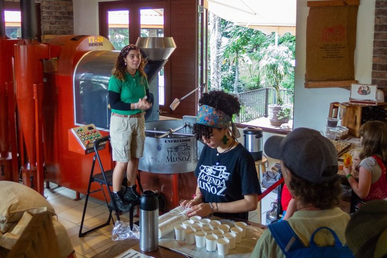Puerto Rico piantagione di caffè e cascata River Tour — 4