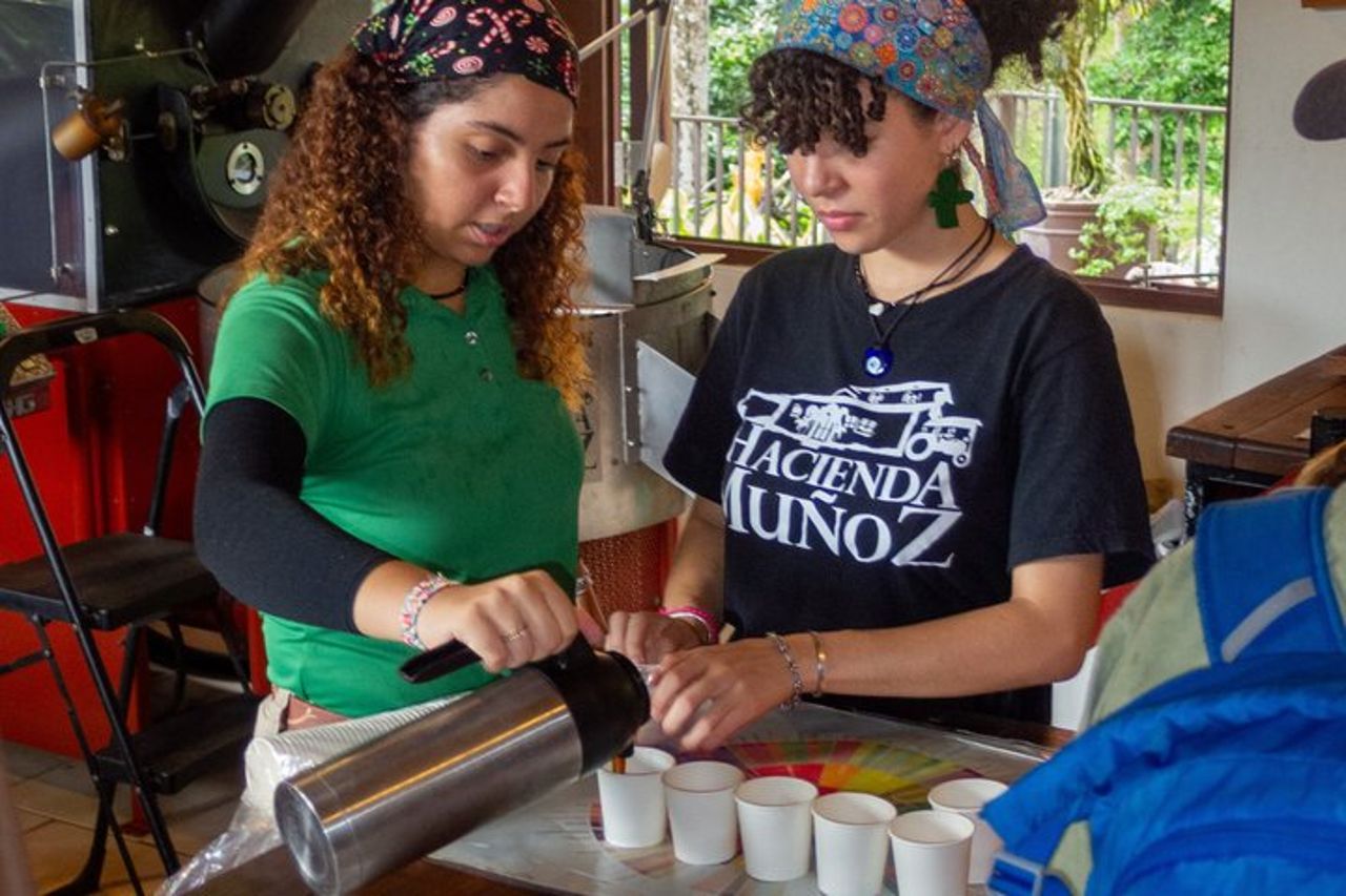 Puerto Rico piantagione di caffè e cascata River Tour — 5