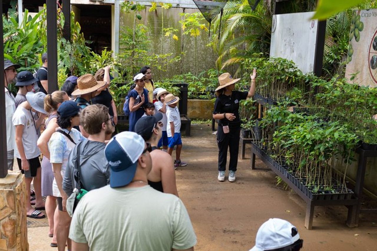 Puerto Rico piantagione di caffè e cascata River Tour — 6
